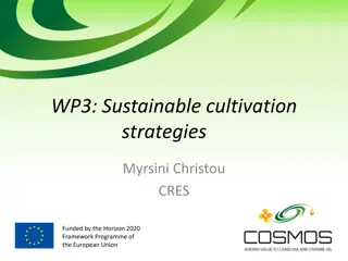 Sustainable Cultivation Strategies for EU Crops