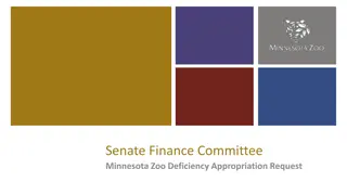 Minnesota Zoo Financial Challenges and Action Plan