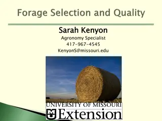 Guide to Forage Selection and High-Quality Hay Production