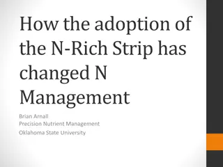 Evolution of N-Rich Strip Adoption in N Management