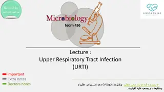 Understanding Upper Respiratory Tract Infections (URTI) in Children