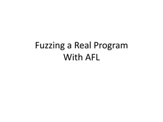 Practical Guide to Fuzzing Programs with AFL