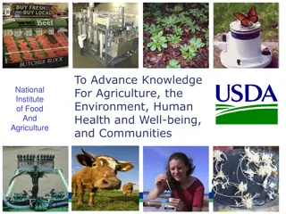 USDA SBIR Program Overview for Innovation in Agriculture and Technology