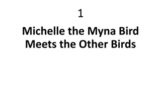 Meet the Colorful Birds from Michelle the Myna Bird's Adventure