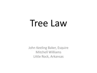 Tree Law and Property Damage: Legal Perspectives