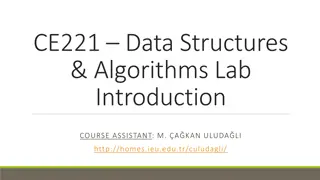 Introduction to CE221 Data Structures & Algorithms Lab with Assistant M. A. Kan Uludağlı