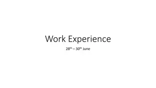 Everything You Need to Know About Work Experience