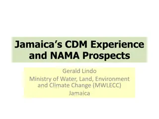 Jamaica's CDM Experience and NAMA Prospects