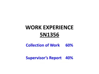 Comprehensive Work Experience Assessment for Skill Development