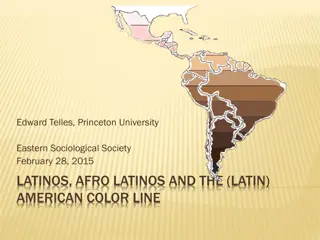 Latin American Racial Dynamics: Past and Present Perspectives