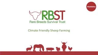 Climate-Friendly Sheep Farming in the UK