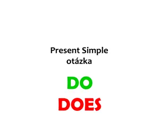 Present Simple Questions and Statements Practice