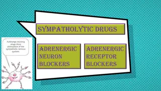 Understanding Adrenergic Neuron Blockers: Mechanisms and Pharmacological Effects