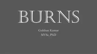 Burn Wounds: Pathophysiology and Classification