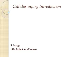 Cellular Injury and Its Manifestations