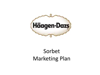 Super Premium Sorbet Marketing Plan