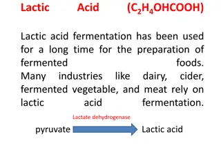 Lactic Acid Fermentation in Food Industry