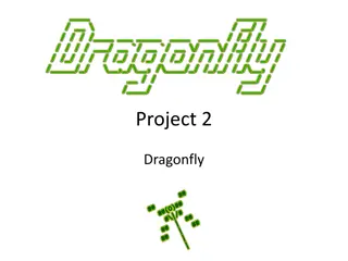 Build Your Own Dragonfly 2D Game Engine