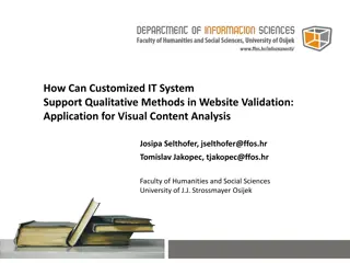 Enhancing Website Validation with Customized IT Systems for Visual Content Analysis