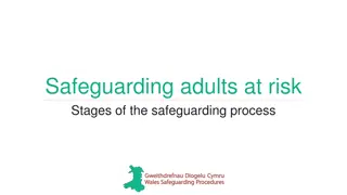 The Safeguarding Process for Adults at Risk