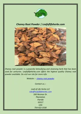 Chaney Root Powder | Leafoflifeherbs.com