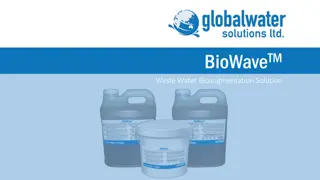 Discover BioWaveTM: Innovative Bioaugmentation Solution for Water Treatment