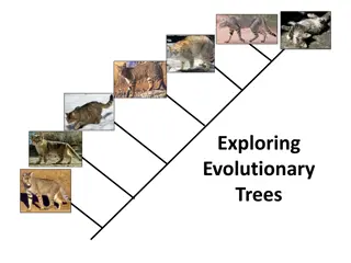 Exploring Evolutionary Trees and Family Lineages