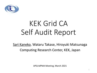 KEK Grid CA Self Audit Report Overview