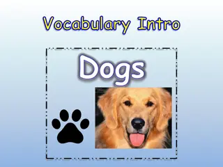 Learning About Dogs: Vocabulary and Characteristics