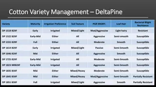 Comprehensive Guide to Cotton Variety Management