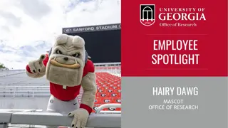 Meet Hairy Dawg: Office of Research Mascot Spotlight