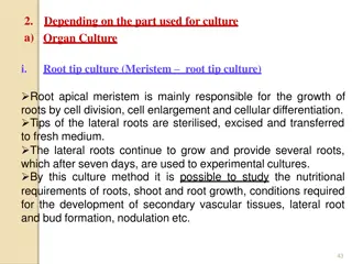 Plant Tissue Culture Methods for Growth and Reproduction Study