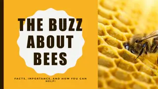 The Buzz About Bees: Facts, Importance, and How You Can Help!