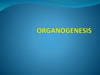 Organogenesis in Plant Tissue Culture Techniques