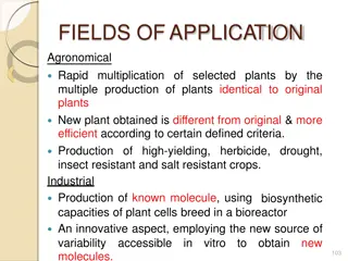 Plant Tissue Culture Applications in Agriculture and Biotechnology