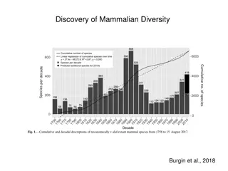 Fascinating Discoveries in Mammalian Diversity