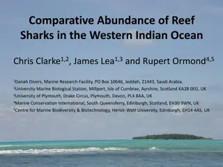 Comparative Abundance of Reef Sharks in the Western Indian Ocean