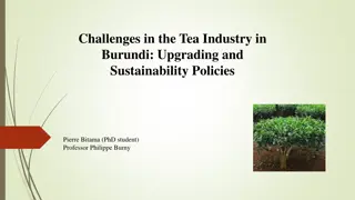 Challenges and Sustainability in Burundi's Tea Industry