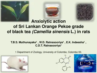 Anxiolytic Action of Sri Lankan Orange Pekoe Black Tea in Rats