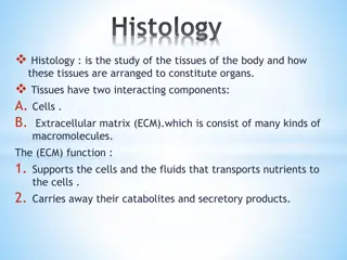 Overview of Histology: Study of Tissues and Organs