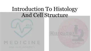 Histology and Cell Structure Fundamentals