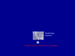 Precision Oncology and Genomic Changes in Cancer Treatment