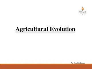 The Evolution from Paleolithic Societies to Agricultural Revolution