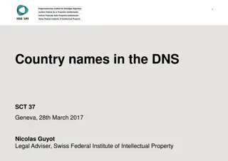 Country Names in the Domain Name System (DNS)