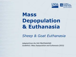 Guidelines for Humane Sheep and Goat Euthanasia