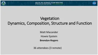 Insights into Vegetation Dynamics and Function in Ecosystems