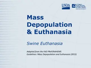 Swine Euthanasia Guidelines and Methods