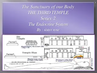 Exploring the Endocrine System as the Third Temple of our Body