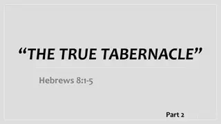 Insights into The True Tabernacle and its Significance in Hebrews