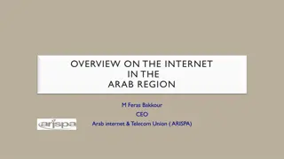 Internet Overview in the Arab Region by ARISPA